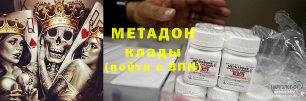 прущие грибы Михайловка