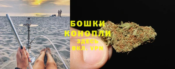 прущие грибы Михайловка