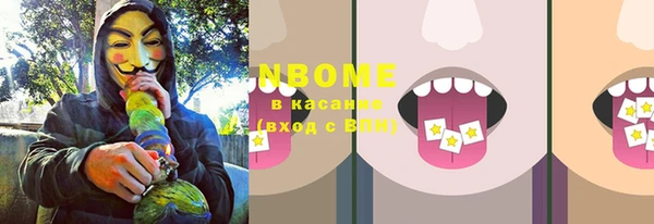 прущие грибы Михайловка