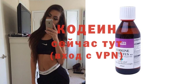 прущие грибы Михайловка