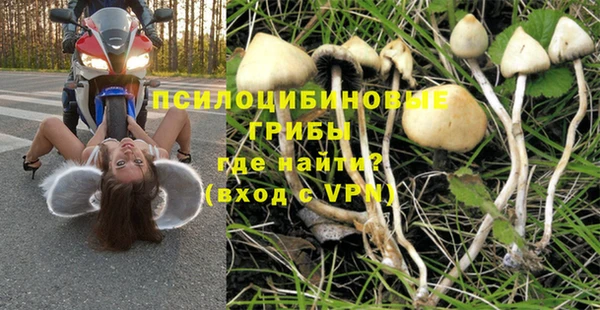 гидропоника Михайловск