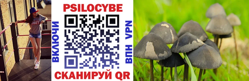 Галлюциногенные грибы мухоморы Кисловодск